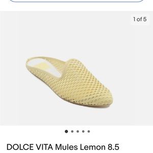 Dolce Vita Mules
